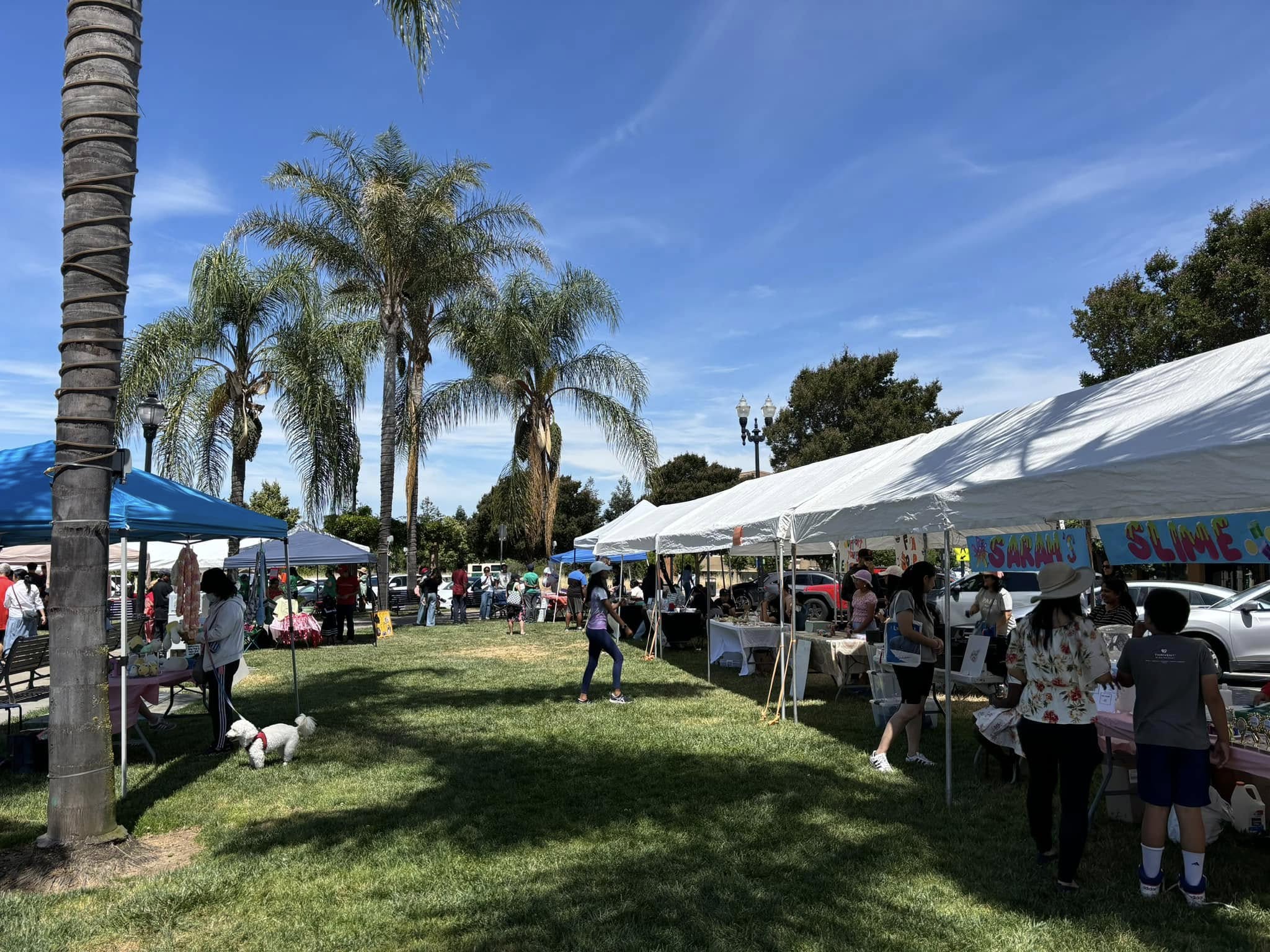 Evergreen Children's Business Fair event image