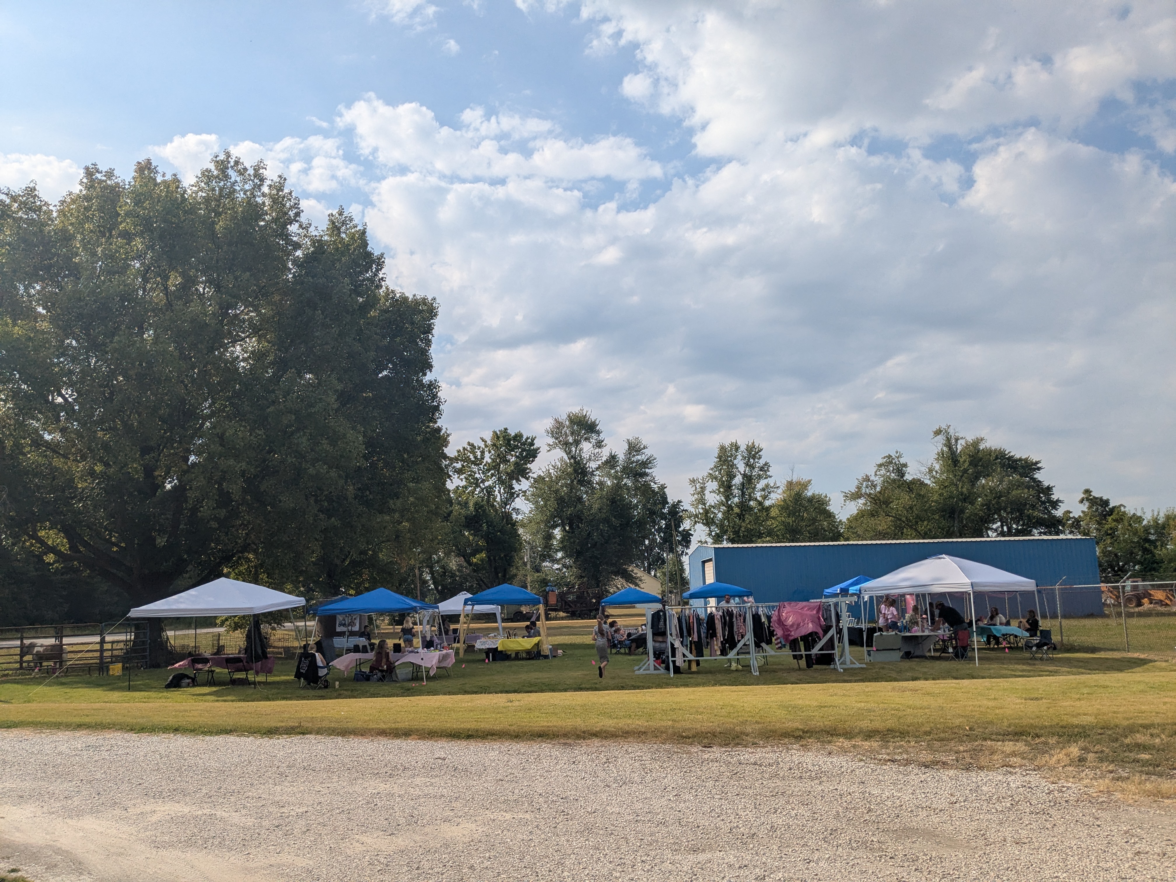 Children's Business Fair Allendale, Illinois event image